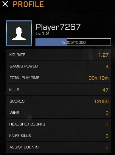 Guerrillas.io Unblocked Profile Section Screenshot